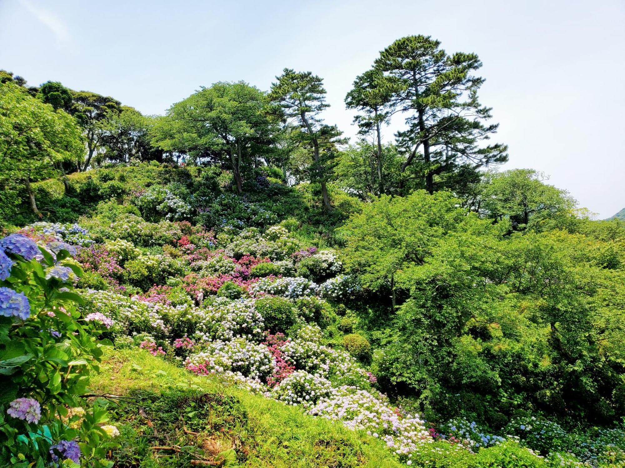 Ｋａｏｒｕ　Ｉｎｎ Villa Minamiizu Dış mekan fotoğraf