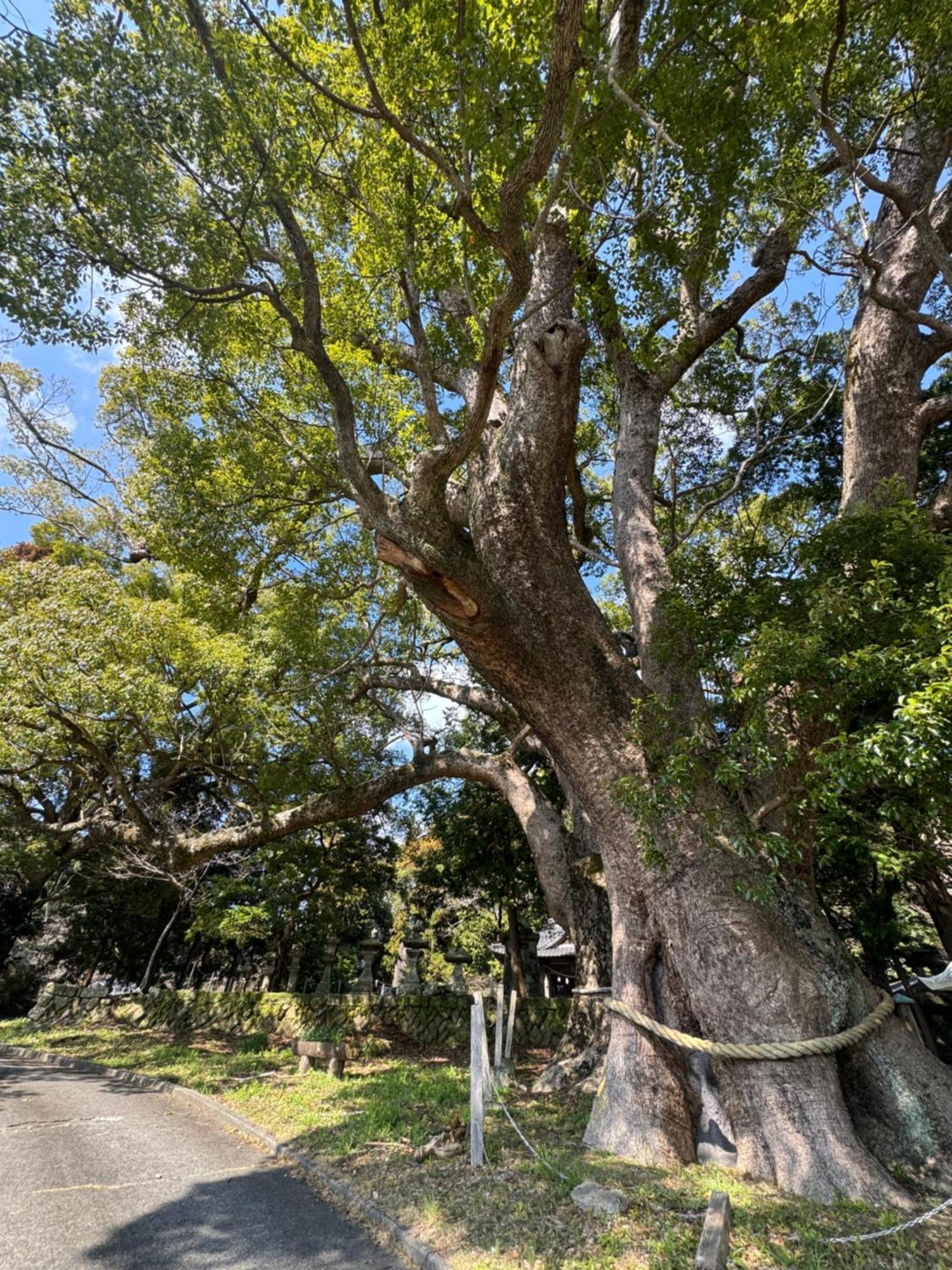 Ｋａｏｒｕ　Ｉｎｎ Villa Minamiizu Dış mekan fotoğraf