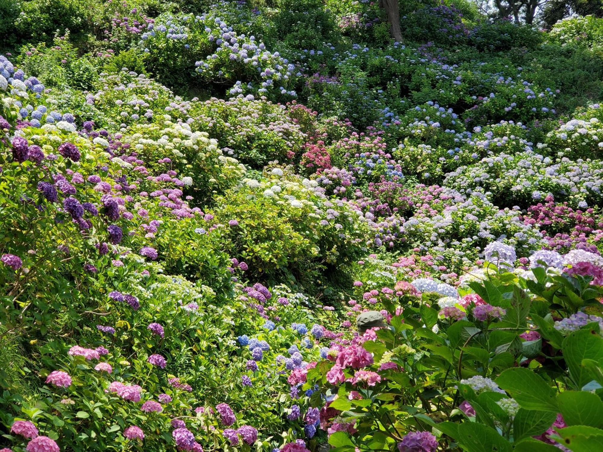 Ｋａｏｒｕ　Ｉｎｎ Villa Minamiizu Dış mekan fotoğraf
